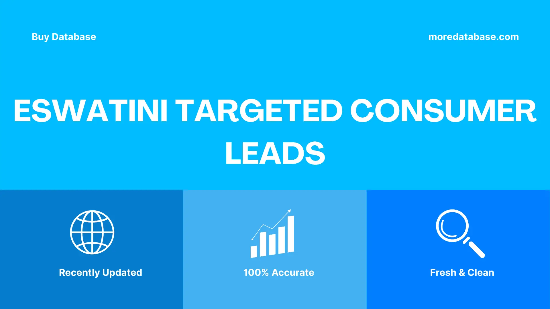 Eswatini Targeted Consumer Leads